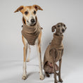 Bild in Galerie-Betrachter laden, FLEECE SHIRT Windhund Walnut
