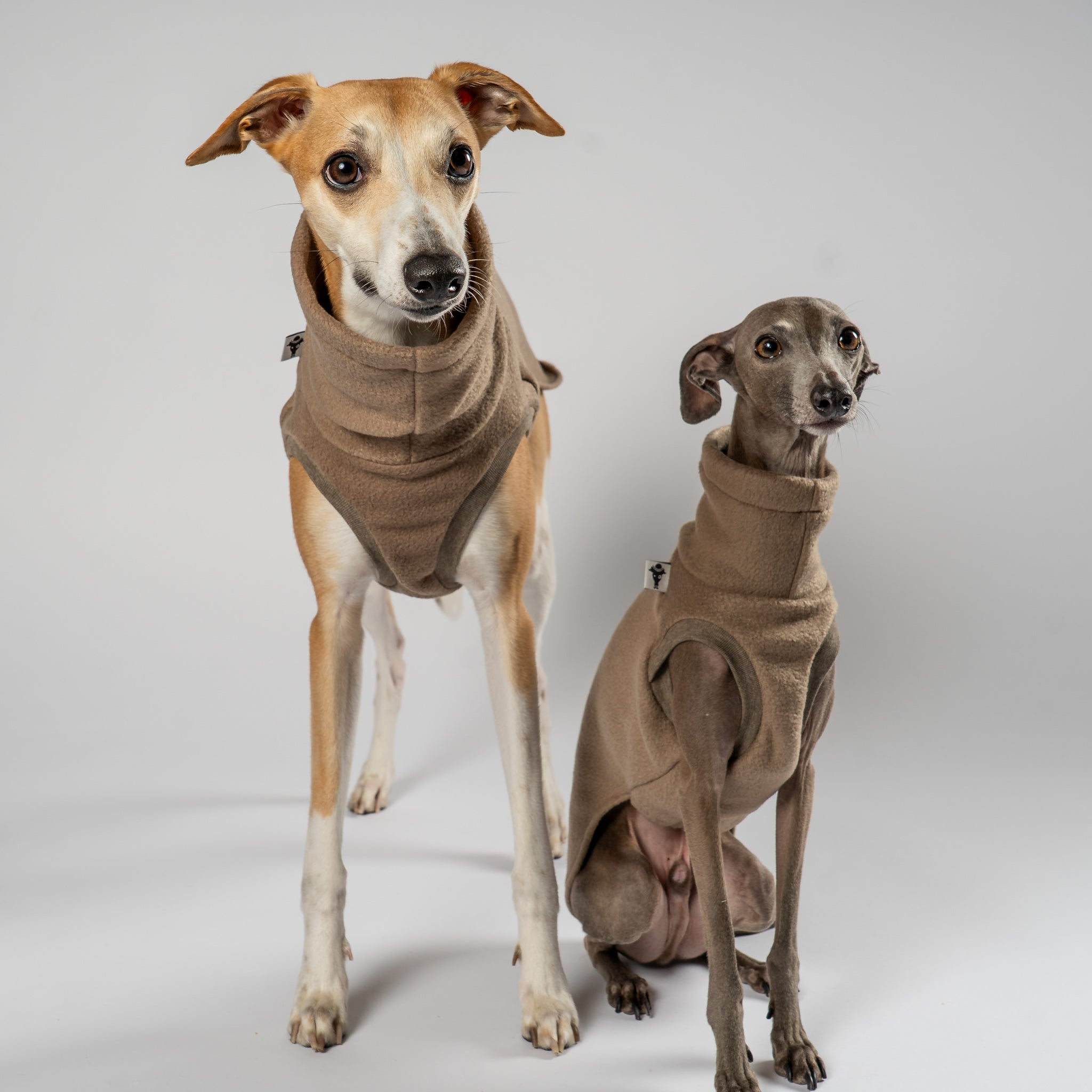 FLEECE SHIRT Windhund Walnut