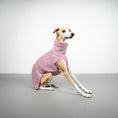Bild in Galerie-Betrachter laden, FLEECE SHIRT Windhund Altrosa
