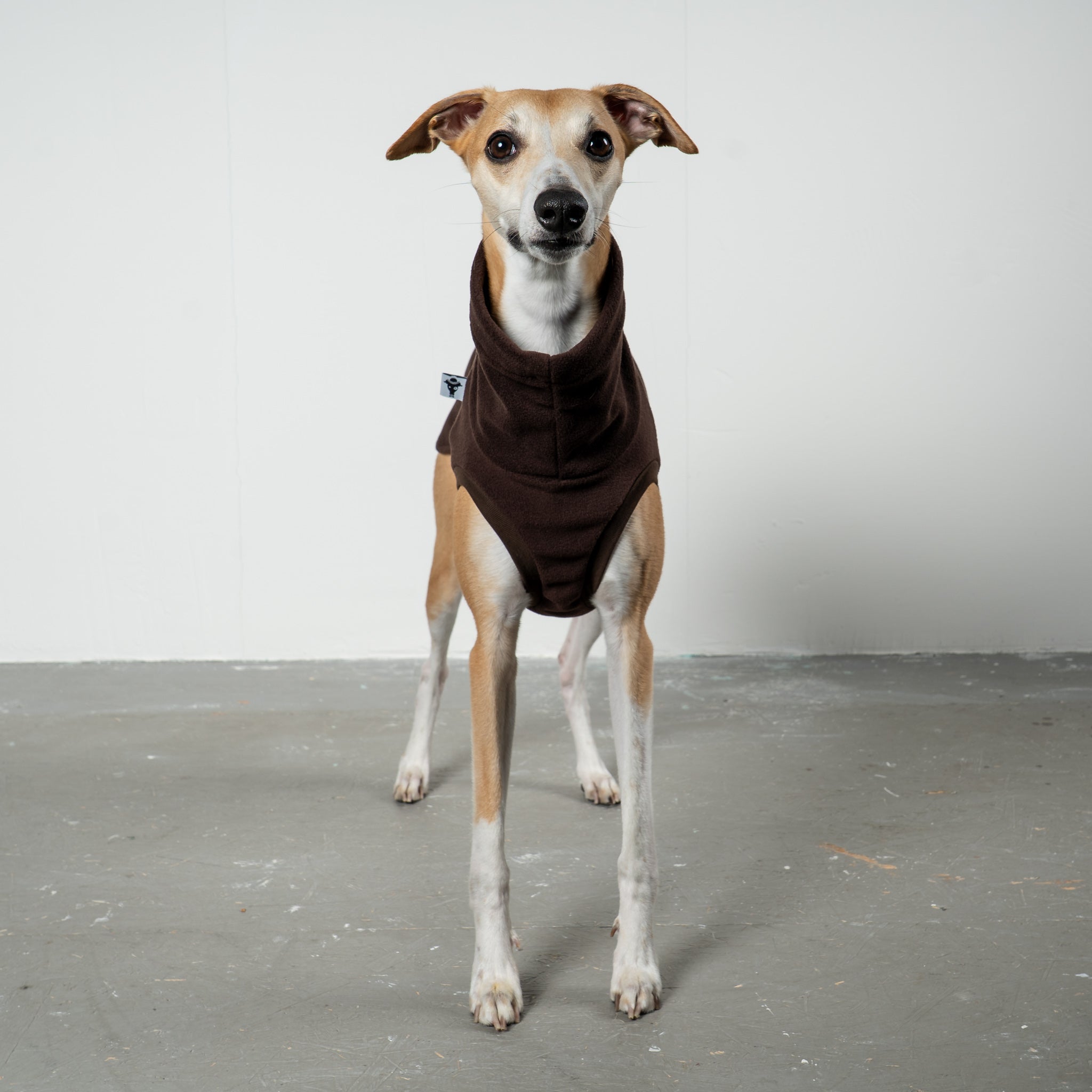 FLEECE SHIRT Windhund Espresso