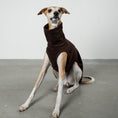 Bild in Galerie-Betrachter laden, FLEECE SHIRT Windhund Espresso
