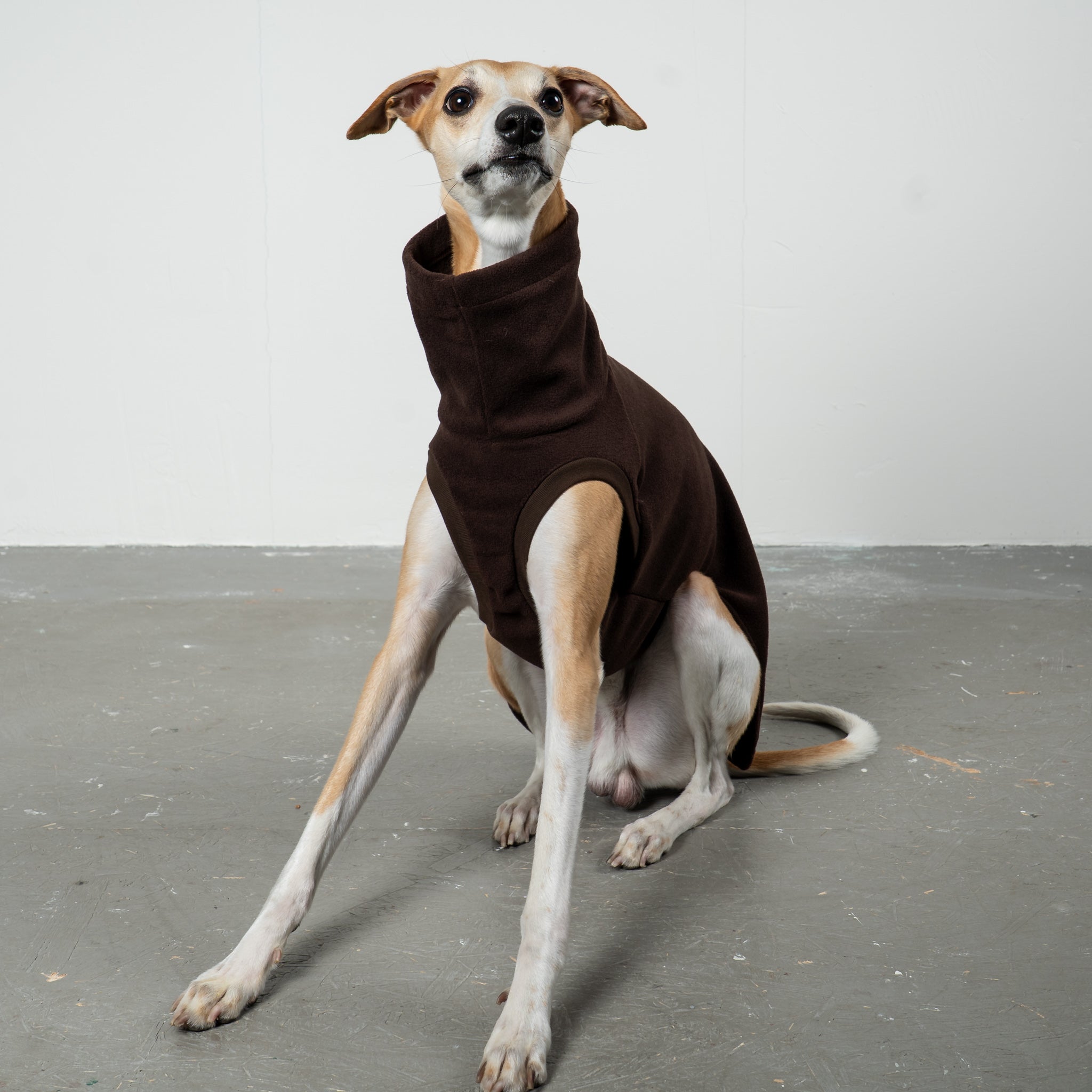 FLEECE SHIRT Windhund Espresso