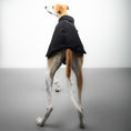 Bild in Galerie-Betrachter laden, FLEECE SHIRT Windhund Schwarz
