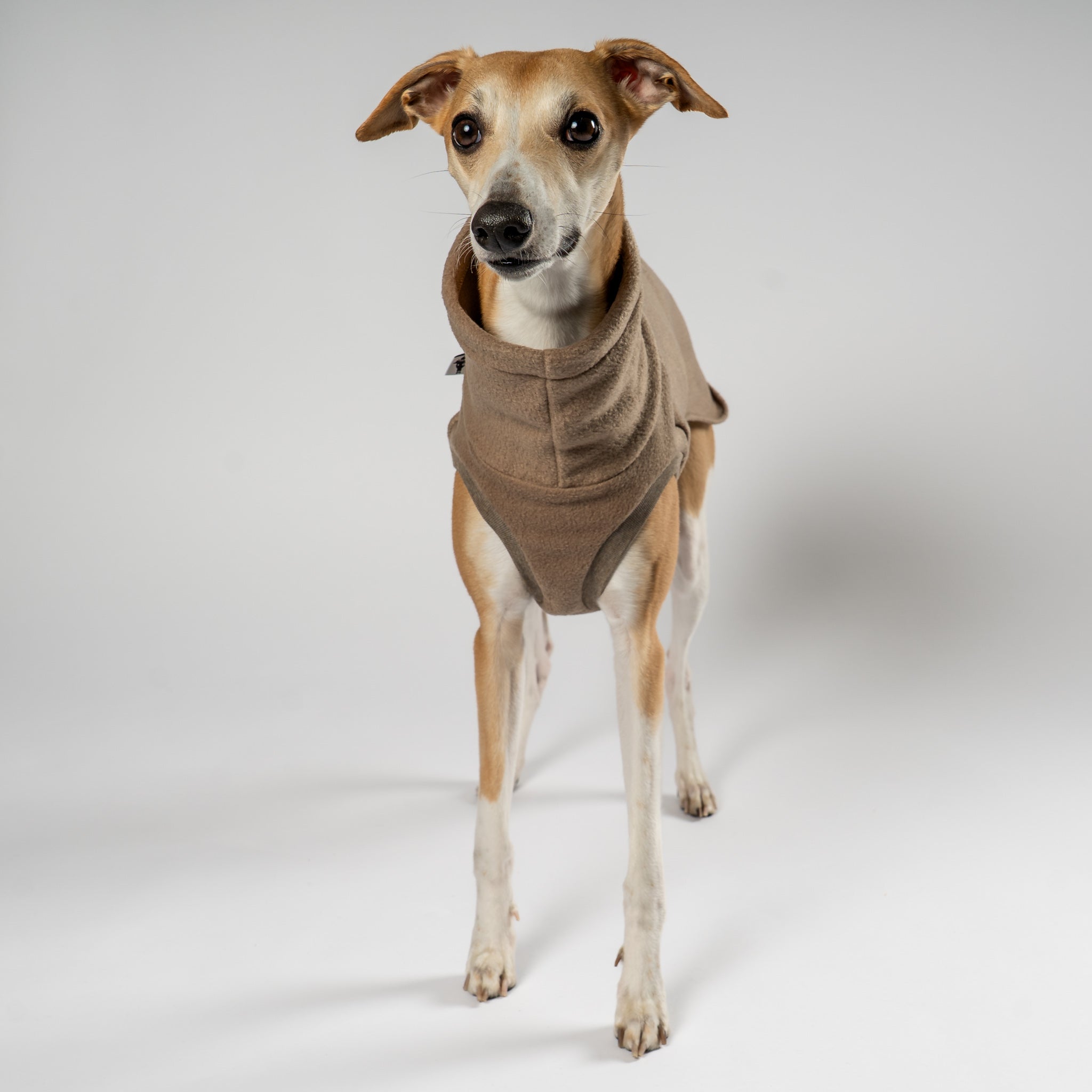 Fleece Shirt Windhund Walnut – Close-up am Hund – hochwertige Hundekleidung von Karma Hund