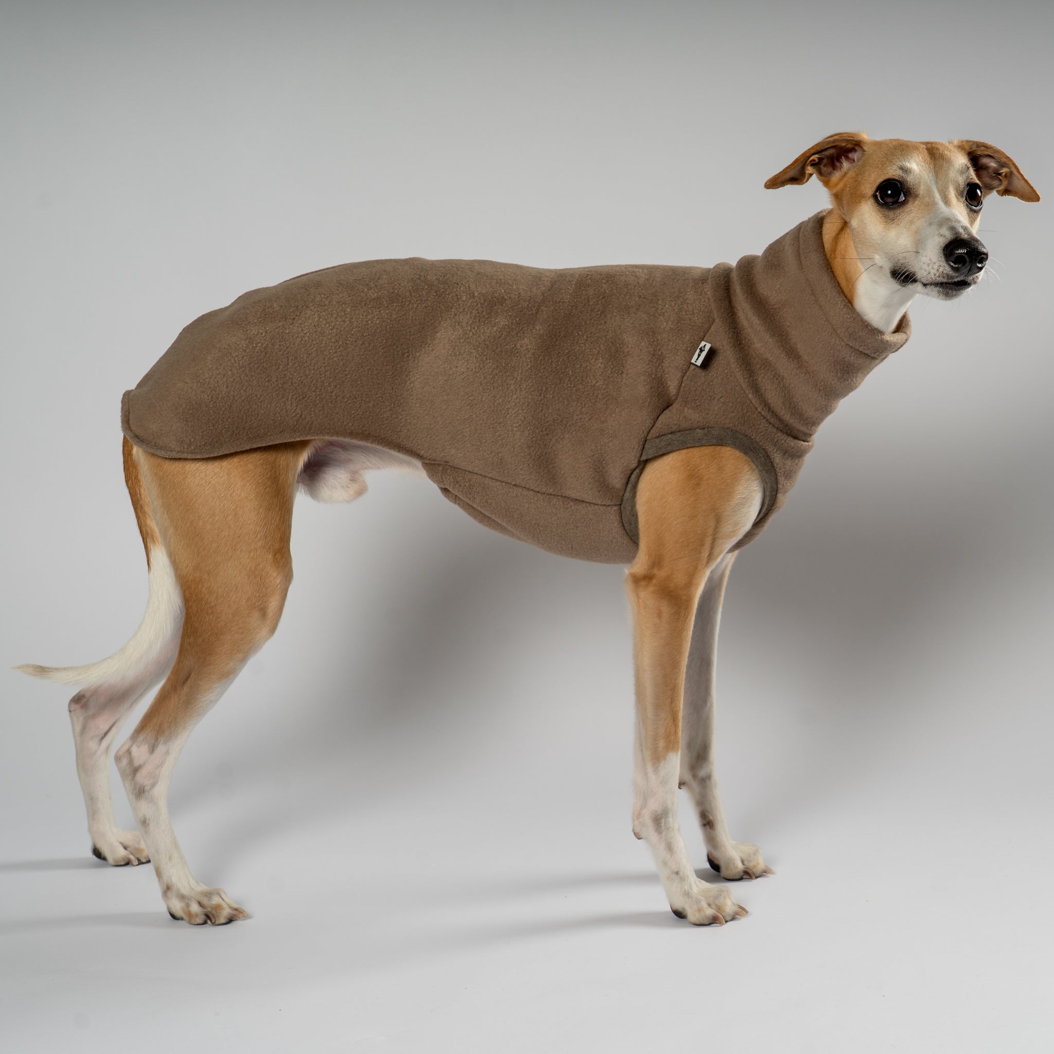 Fleece Shirt Windhund Walnut – Hundepullover und Hundekleidung für Dackel und Windhunde – Seitenansicht am Hund
