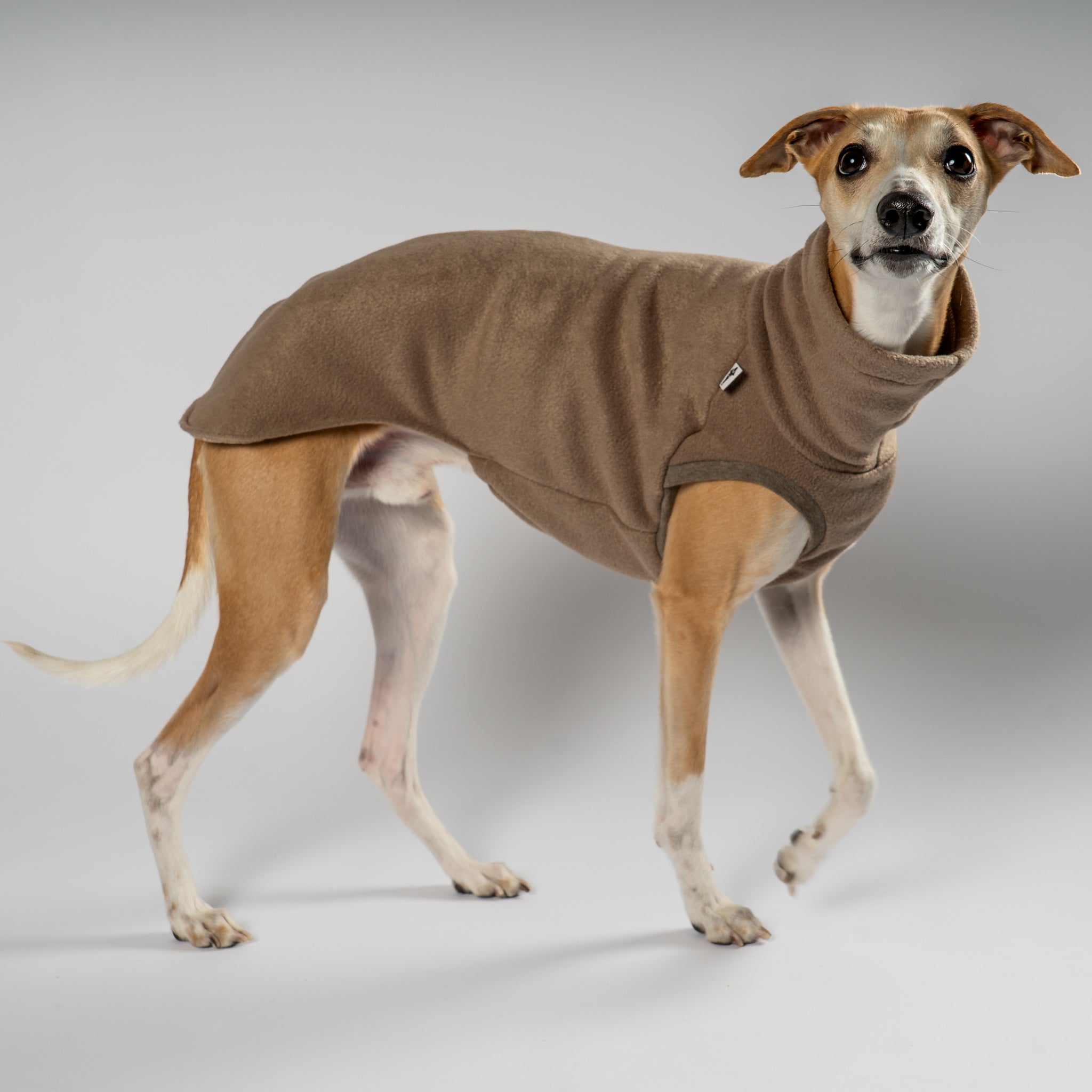 Fleece Shirt Windhund Walnut – Hund in Bewegung – bequeme Hundekleidung für Windhunde