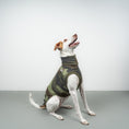 Bild in Galerie-Betrachter laden, FLEECE SHIRT Windhund Camouflage
