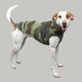 Bild in Galerie-Betrachter laden, FLEECE SHIRT Windhund Camouflage
