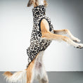 Bild in Galerie-Betrachter laden, FLEECE SHIRT Windhund Leo
