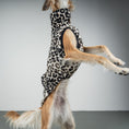 Bild in Galerie-Betrachter laden, FLEECE SHIRT Windhund Leo
