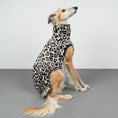 Bild in Galerie-Betrachter laden, FLEECE SHIRT Windhund Leo
