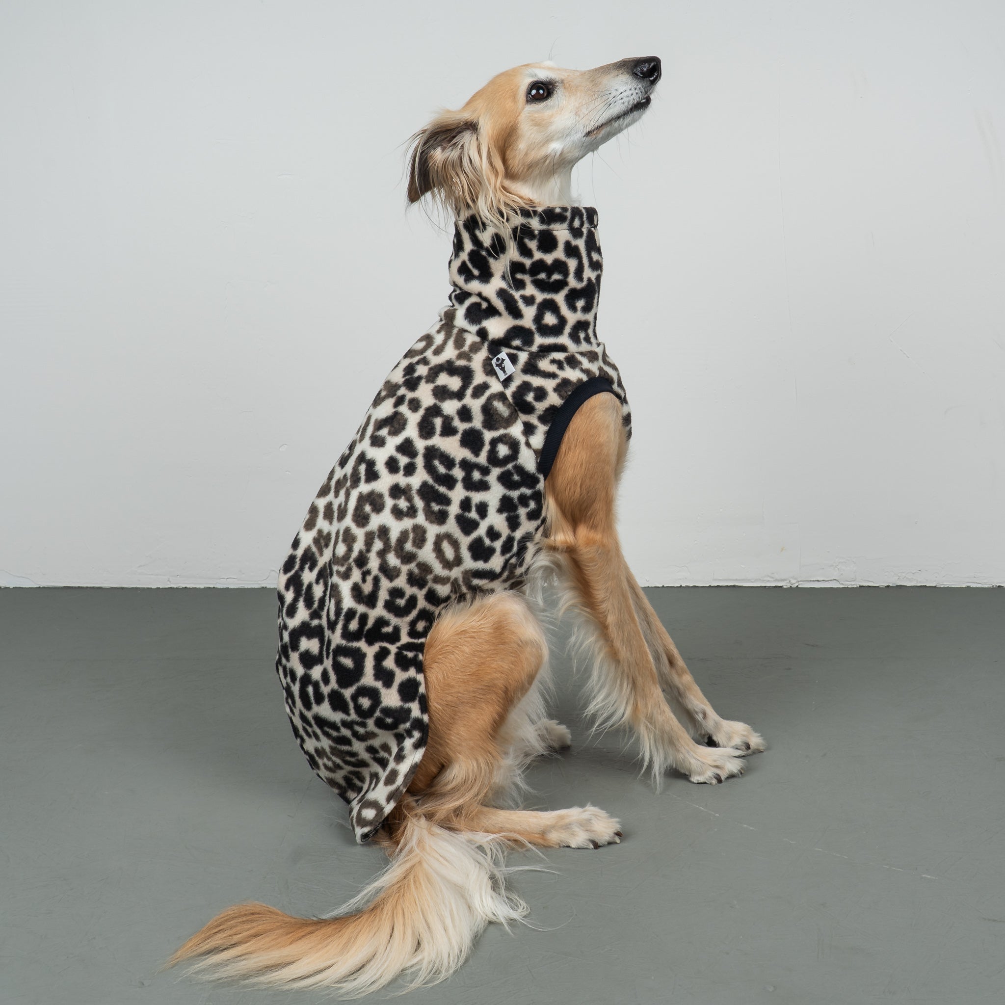 FLEECE SHIRT Windhund Leo
