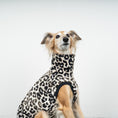 Bild in Galerie-Betrachter laden, FLEECE SHIRT Windhund Leo
