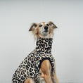 Bild in Galerie-Betrachter laden, FLEECE SHIRT Windhund Leo
