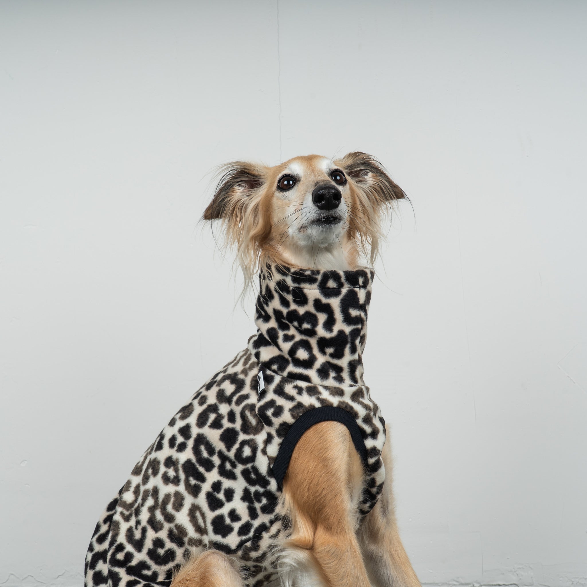 FLEECE SHIRT Windhund Leo
