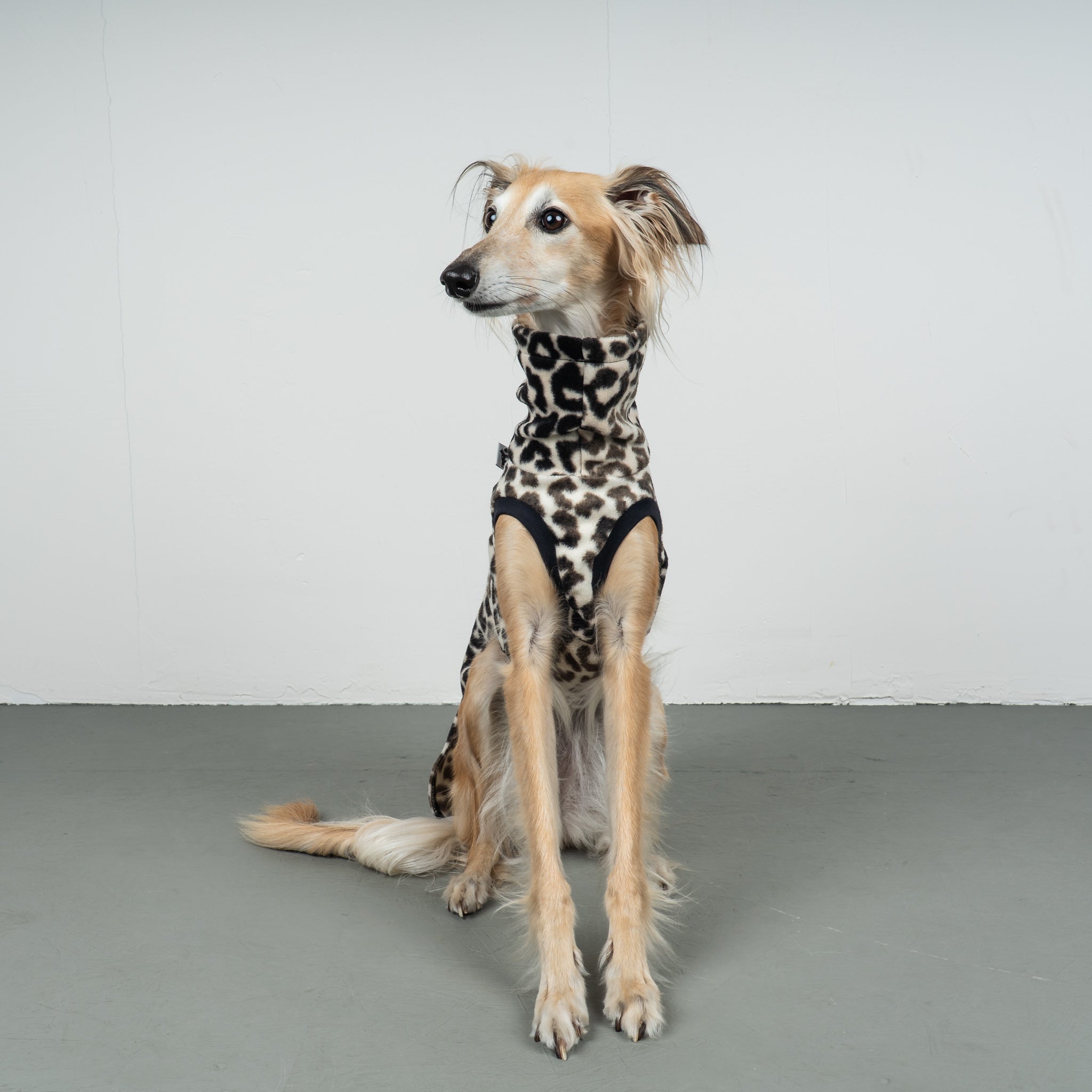 FLEECE SHIRT Windhund Leo