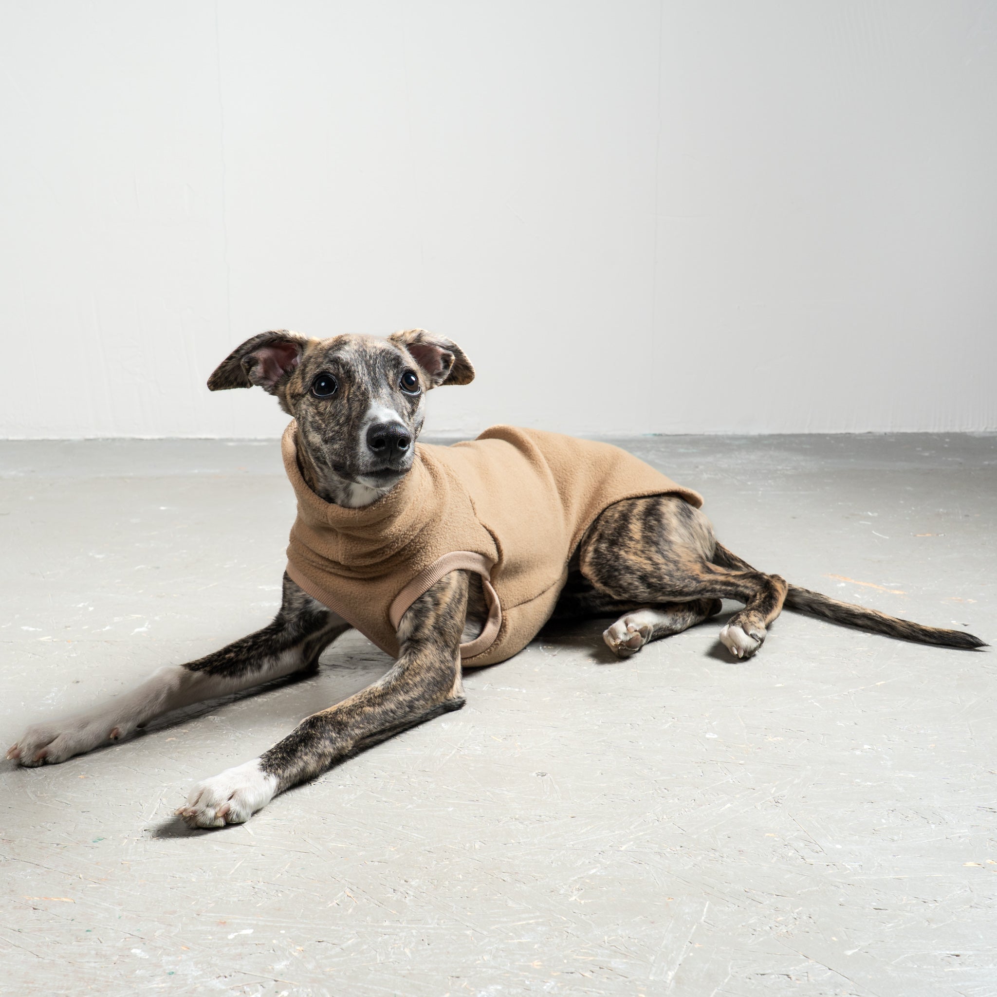 FLEECE SHIRT Windhund Camel