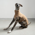 Bild in Galerie-Betrachter laden, FLEECE SHIRT Windhund Camel
