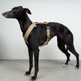 Bild in Galerie-Betrachter laden, SOFTSHELL HUNDEGESCHIRR Windhund Sand
