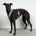 Bild in Galerie-Betrachter laden, SOFTSHELL HUNDEGESCHIRR Windhund Sand
