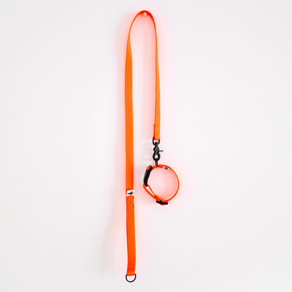 HUNDELEINE HALSBAND SET aus Gurtband in Neon Orange