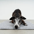Bild in Galerie-Betrachter laden, Platzdecke Grey
