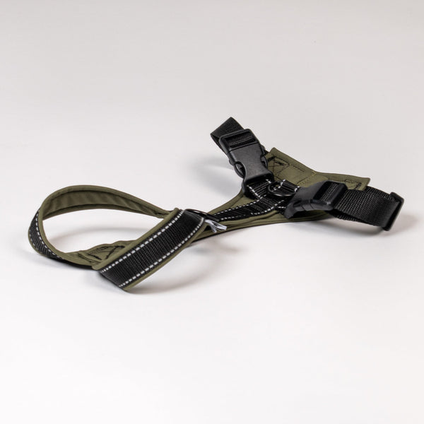 Hundegeschirr aus Softshell in Dark Olive mit Reflektor Gurtband