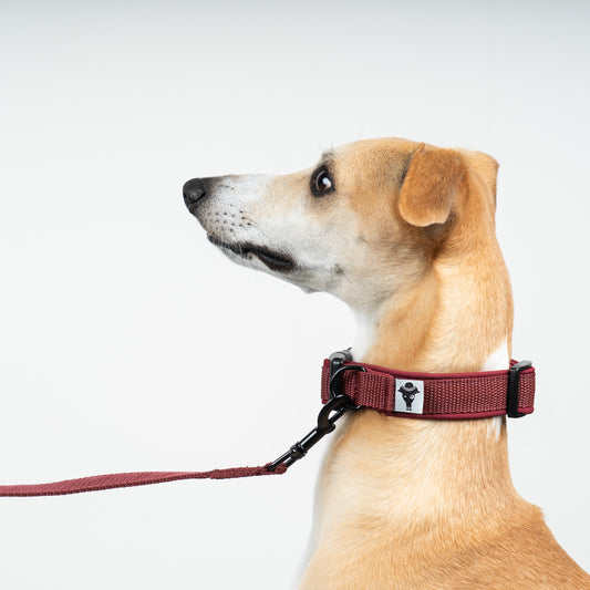 Softshell Halsband Weinrot