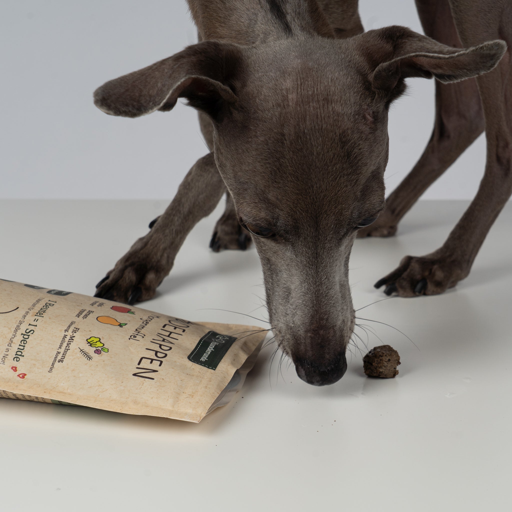 Hunderunde's Vegane Hundehappen – Morgenmuffel