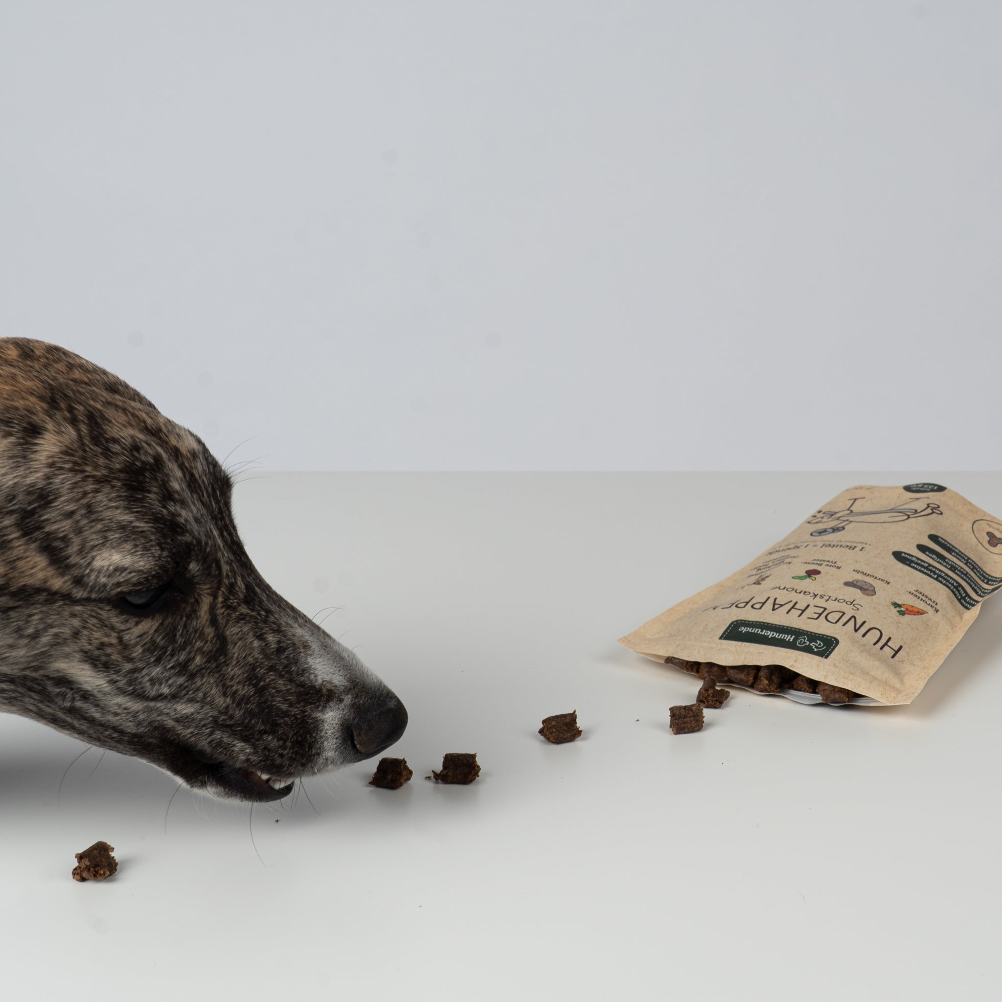 Hunderunde's Vegane Hundehappen – Sportskanone