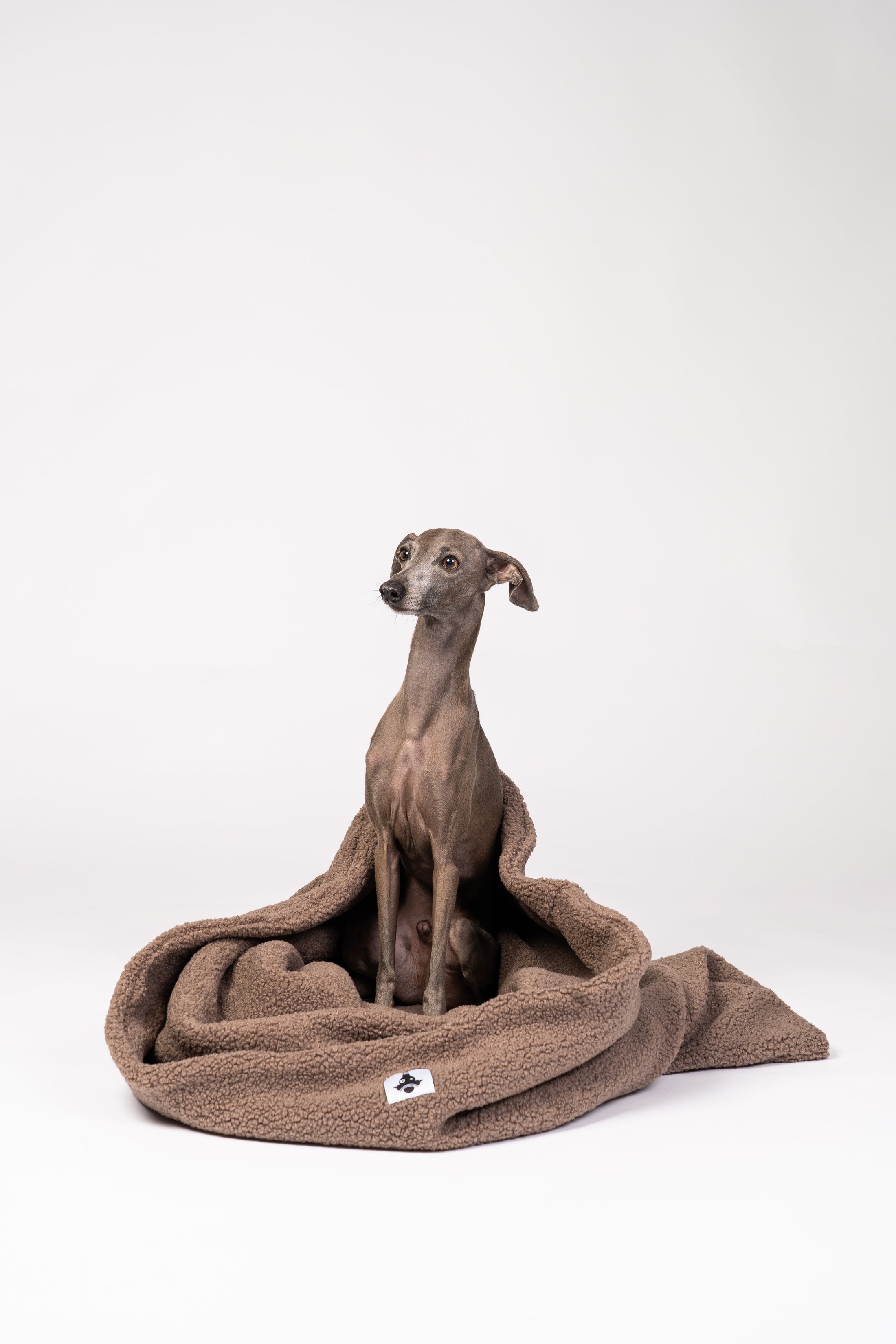 Handgefertigter Hundeschlafsack Mokka aus Teddyplüschj