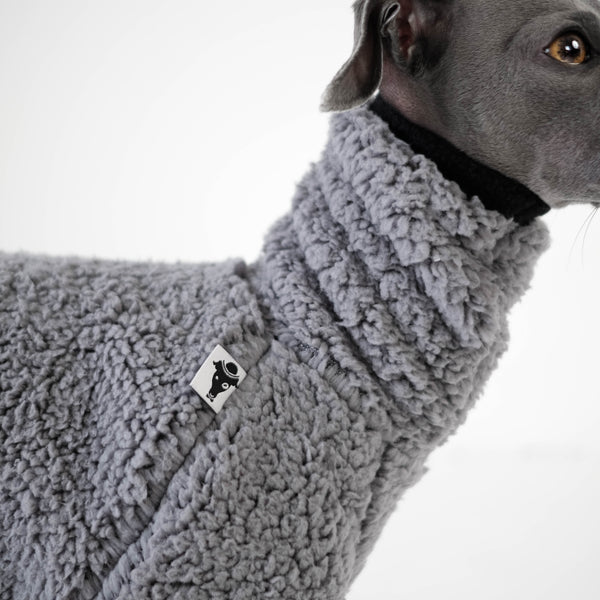 italian greyhound brand