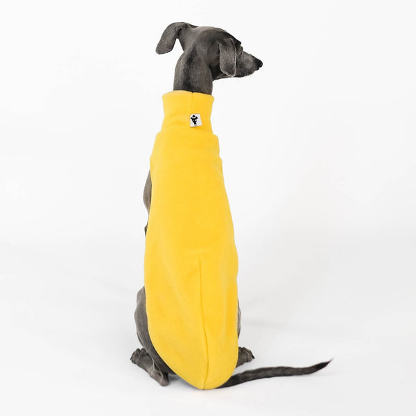 italian greyhound fleece