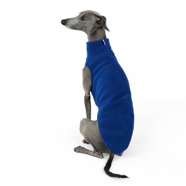 Long Shirt for Italian GREYHOUND