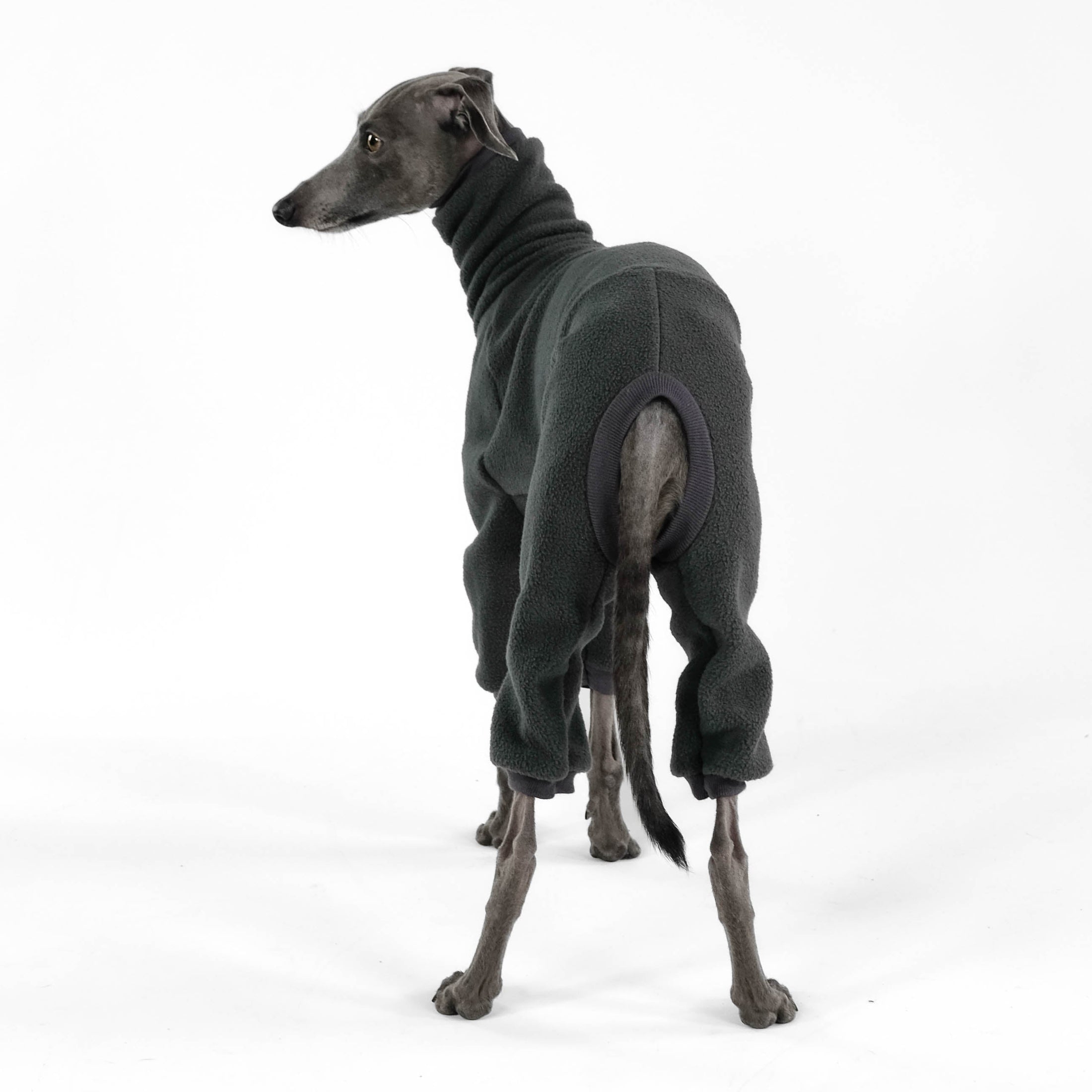 Italian Greyhound Fleece Jumpsuit Graphite
