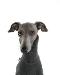 Bild in Galerie-Betrachter laden, Italian Greyhound
