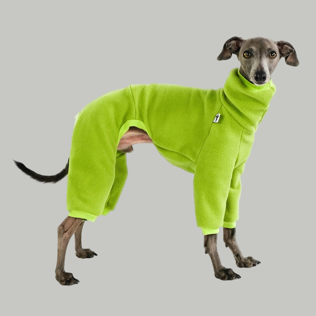 Windspiel Fleece Overall Light Green