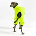Bild in Galerie-Betrachter laden, Italian Greyhound Overall Neon Yellow

