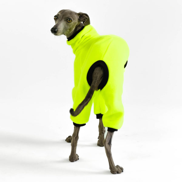 Italian Greyhound Overall Neon Yellow