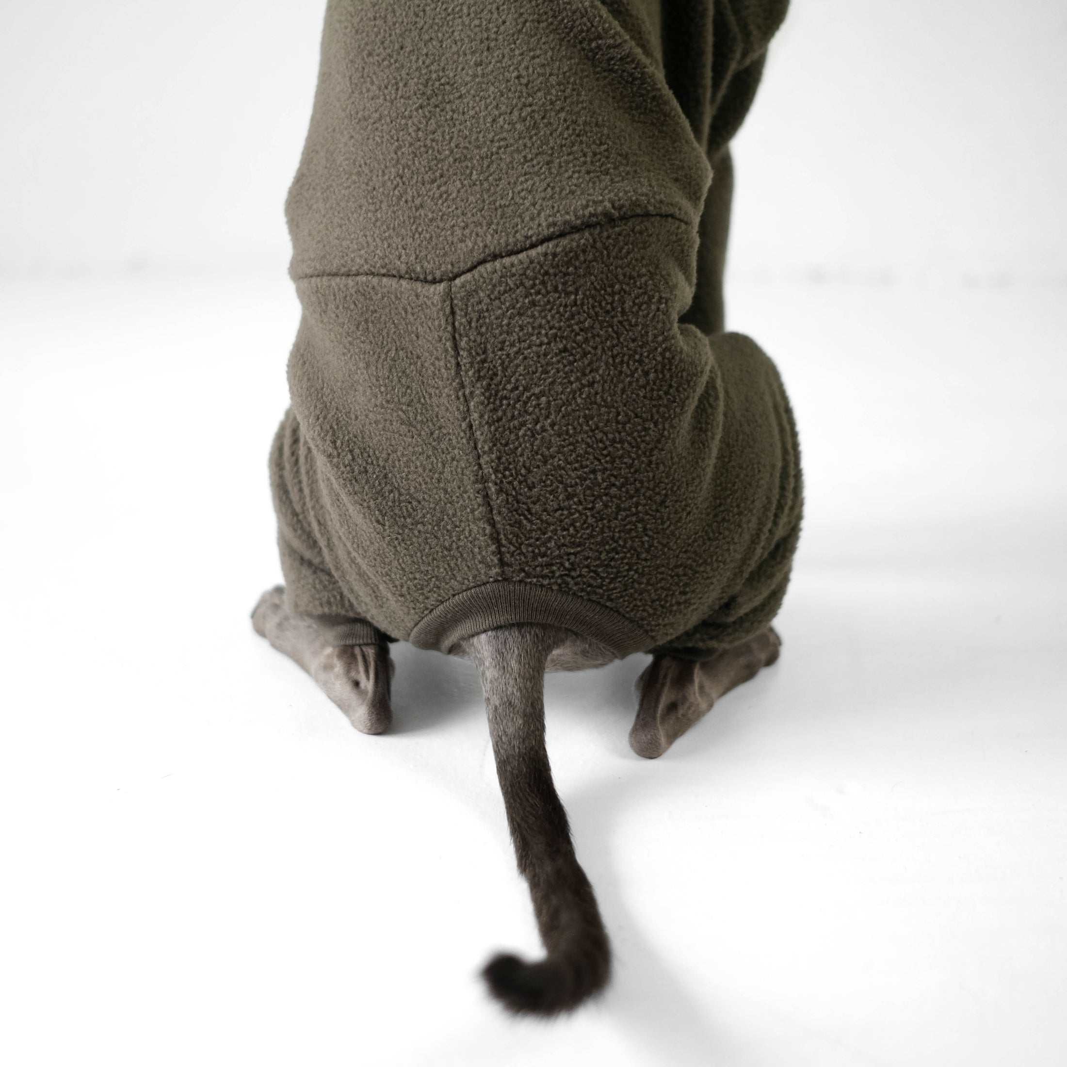 Windspiel Overall Detail