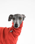 Bild in Galerie-Betrachter laden, IG Fleece Clothing
