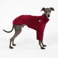 Bild in Galerie-Betrachter laden, Italian Greyhound Pullover Fleece
