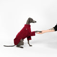 Bild in Galerie-Betrachter laden, Windspiel Pullover Fleece
