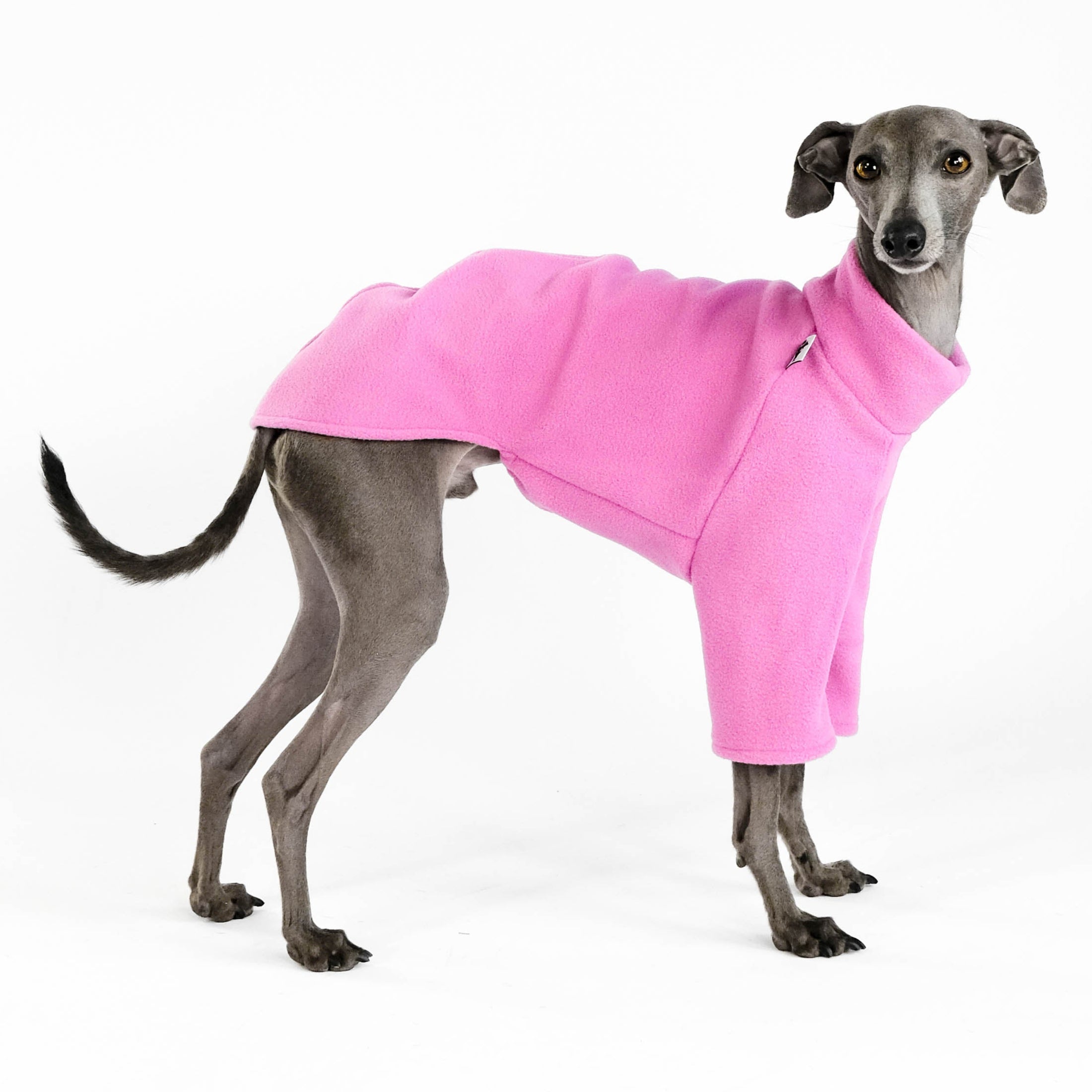 Hundepullover für Windspiele in Bubblegum