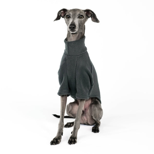 Italian Greyhound Jumper