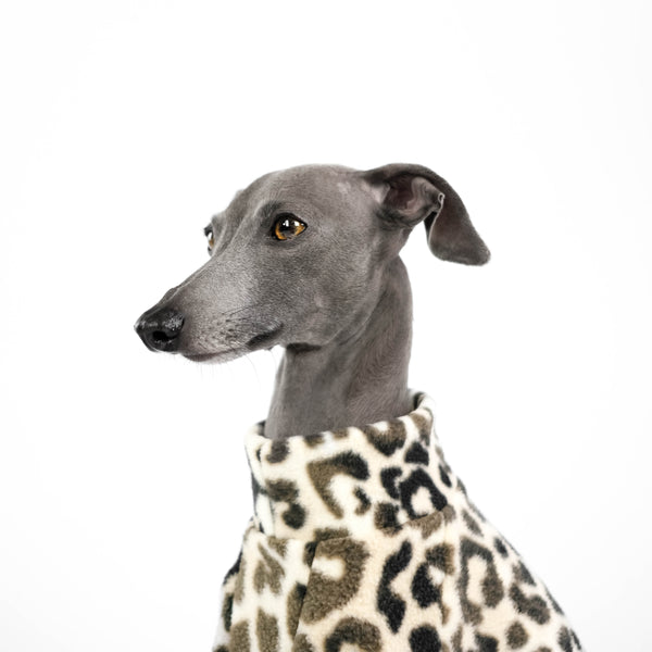 italian greyhound leo print clothing