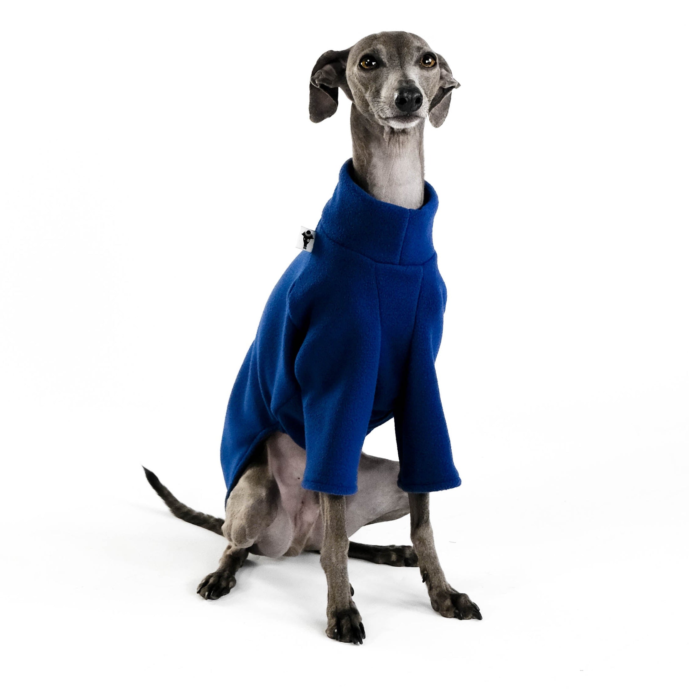 Fleece Pullover für Windspiele in Navy