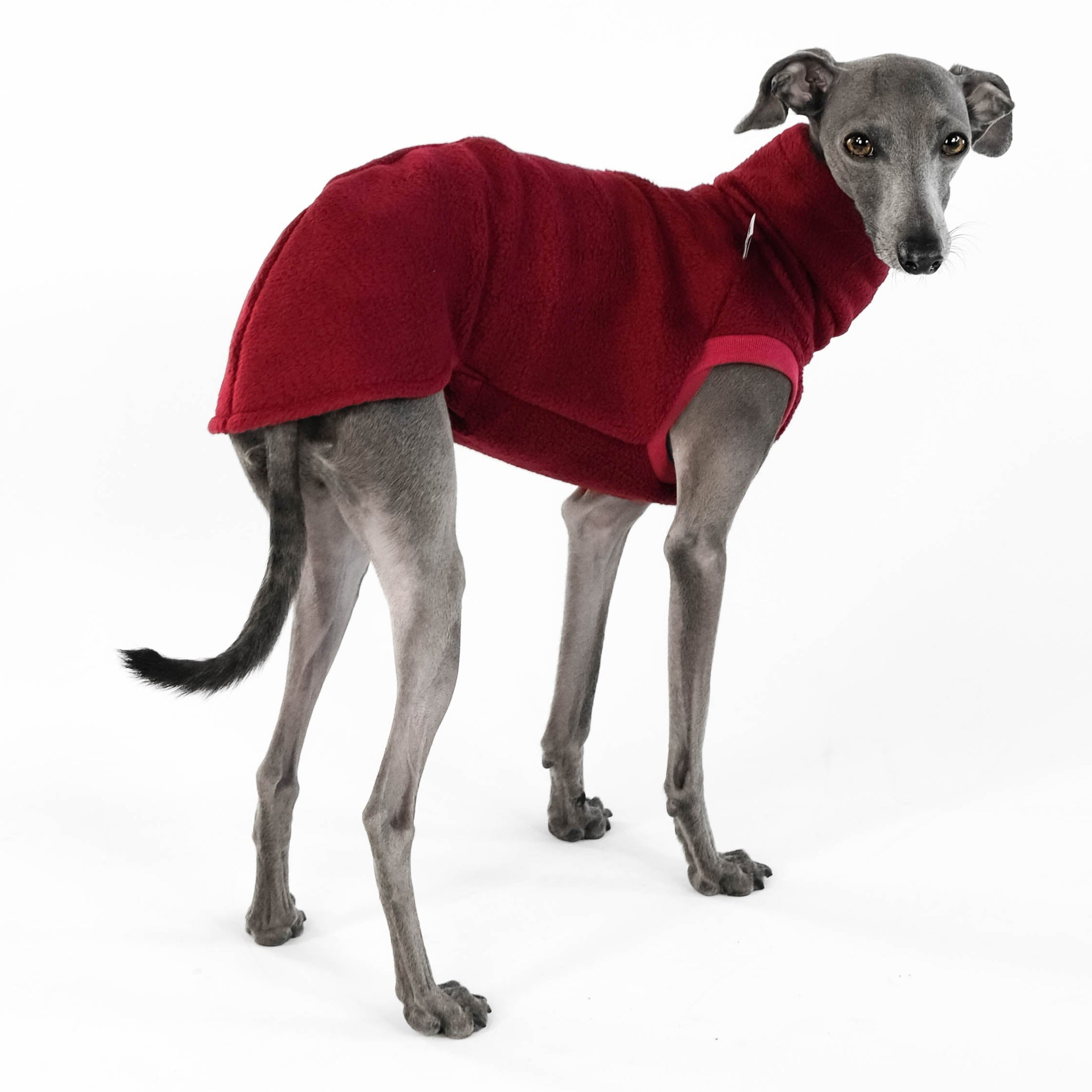 IG Long Shirt Bordeaux