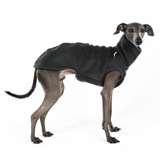 IG Longshirt Fleece Graphit