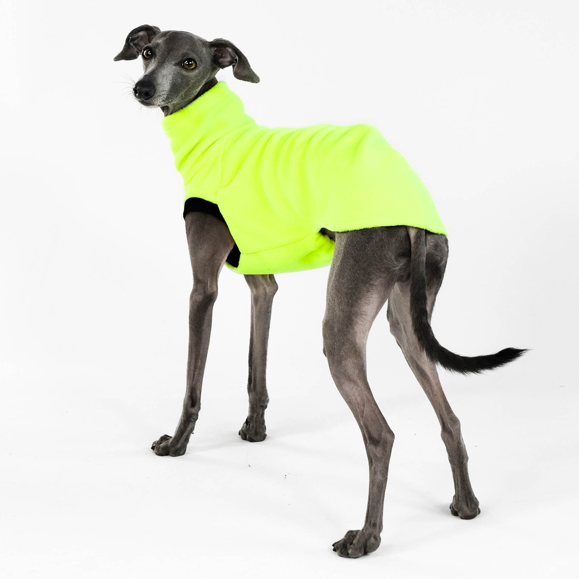 Windspiel Longshirt Neon Yellow